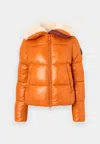 Save The Duck Glossy Padded Short Jacket With Shearling-lined Collar In Orange