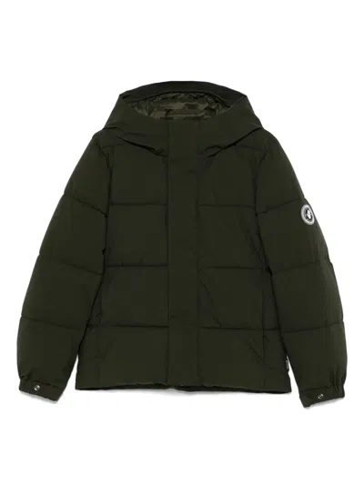 Save The Duck Kids' Norwood Jacket In Land Green
