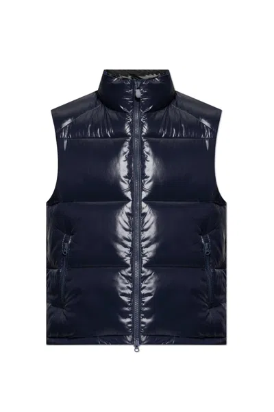 Save The Duck Padded Vest Ailantus In Blue Black