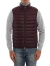 SAVE THE DUCK PUFFER VEST IN BURGUNDY