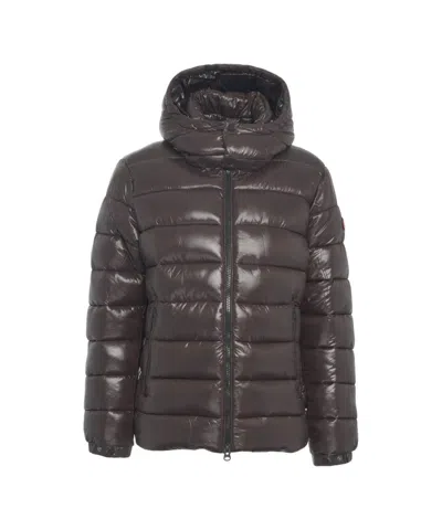 Save The Duck Shiny Brown Quilted Puffer Jacket With Fixed Hood In Black