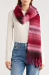 Save The Ocean Stripe Recycled Polyester Scarf In Multi