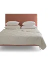 Savoir King Silk Duvet In Beige
