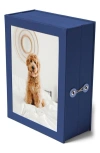 Savor Story Vault Keepsake Box In Blue/ Coral