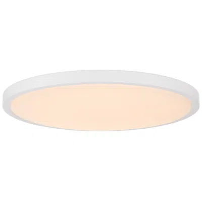 Savoy House 20" Led Flush Mount In White
