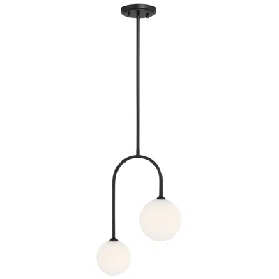 Savoy House Chester 2-light Pendant In Matte Black In Multi
