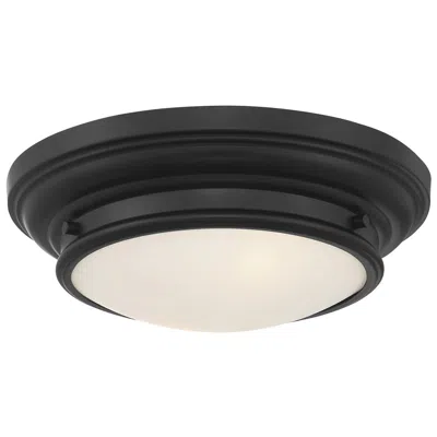 Savoy House Meridian 13" Wide Matte Black 2-light Ceiling Light