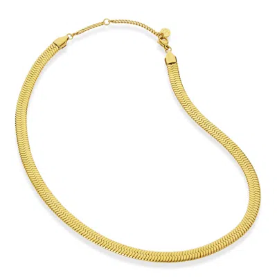 Savvy Cie Jewels 18k Gold Herringbone 6.5mm Wide In Yellow