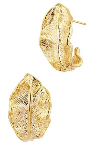 Savvy Cie Jewels Gold Plated Curled Leaf Stud Earring In Gray