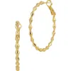 Savvy Cie Jewels Stretched Cone Textured Hoop Earrings In Gold