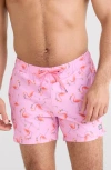 Saxx Stretch Swim Trunks With Liner In Drinko Flamingo-taffy In Pink