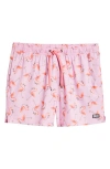 Saxx Stretch Swim Trunks With Liner In Drinko Flamingo-taffy In Pink