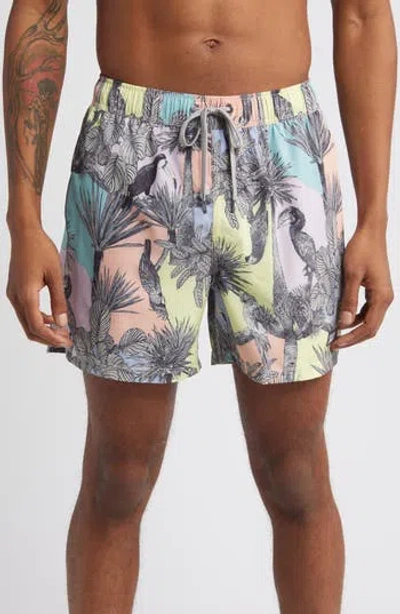 Saxx Oh Buoy 2n1 Volley Swim Shorts In Aviary Multi In Blue