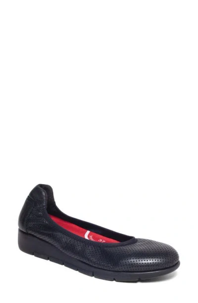 Saydo Filbert Ballet Flat In Black