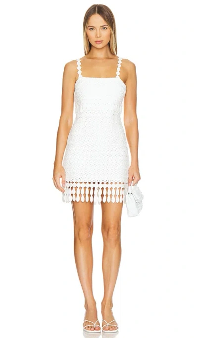 Saylor Caitriona Mini Dress In White