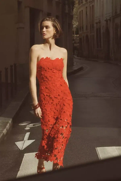 Saylor Philomena Cotton Cutwork Maxi Dress In Orange