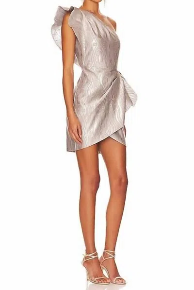 Saylor Women's Ann Woodgrain Dress In Silver