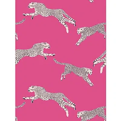 Scalamandre Leaping Cheetah Wallcovering In Bubblegum