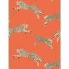 Scalamandre Leaping Cheetah Wallcovering In Orange