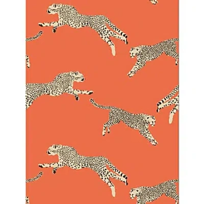Scalamandre Leaping Cheetah Wallcovering In Orange
