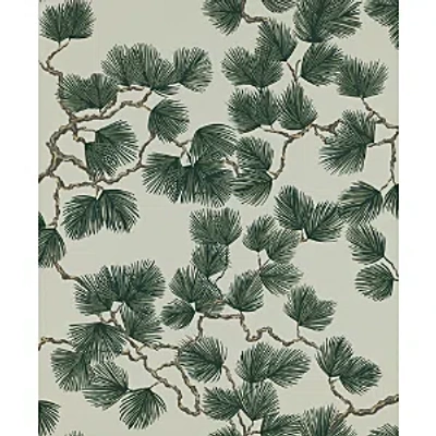 Scalamandre Pine Wallcovering In Green