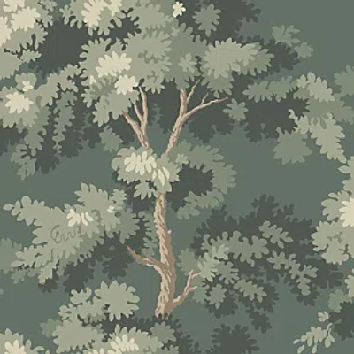 Scalamandre Raphael Wallcovering In Moss Green