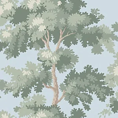 Scalamandre Raphael Wallcovering In Sky Blue