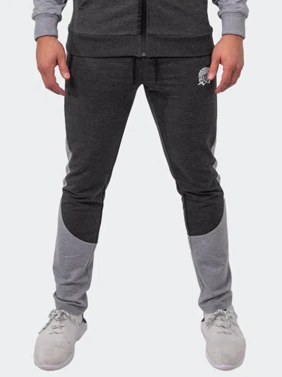 Scaling Jogger Eclipse Grey