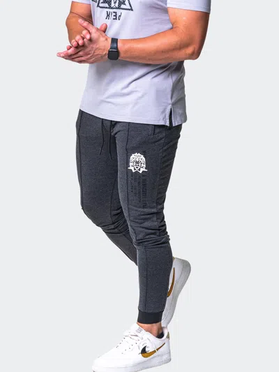 Scaling Jogger Stamped Grey In Blue