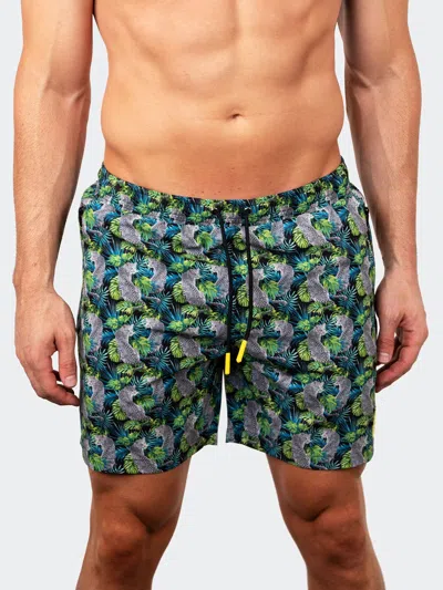 Scaling Swim Lion Tiger Green