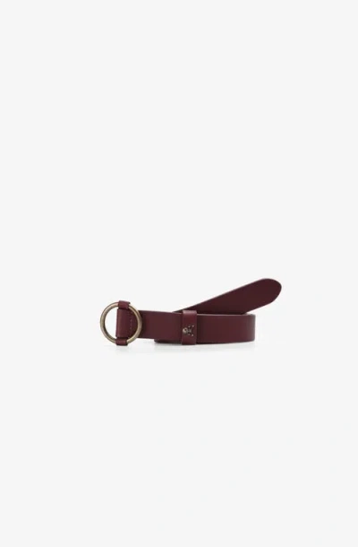 Scalpers Kids'  Belt Girls In Burgundy