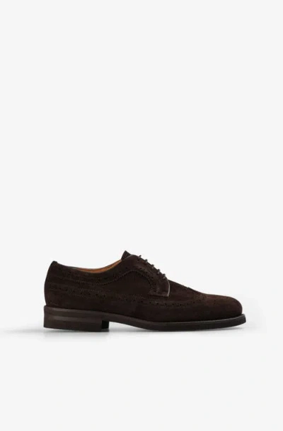 Scalpers Crown Shoes In Brown