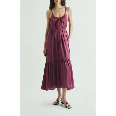 Scalpers Dress Braided Waistband In Brown
