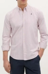 Scalpers New Oxford Bd Shirt In Pink