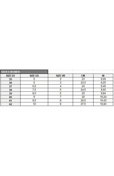 Scalpers Newprax Sneakers In Brown