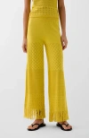 Scalpers Pointelle Knit Pant In Yellow