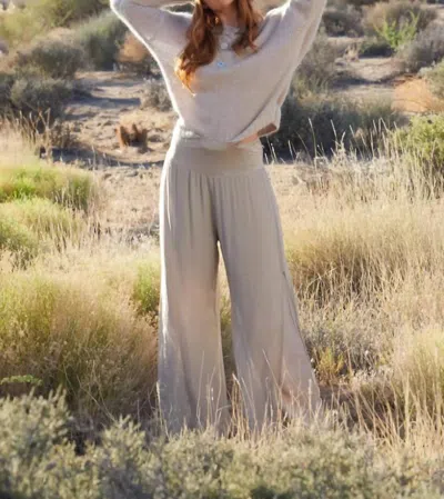Scandal Italy Free Wide Leg Pants In Taupe In Multi
