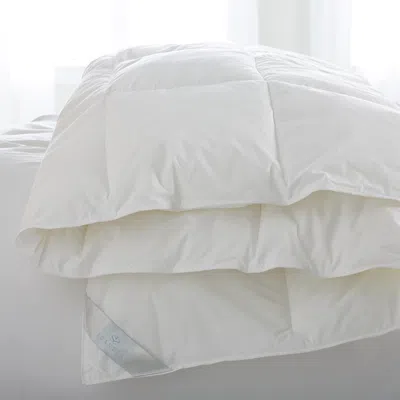 Scandia Home Bergen Down Free Comforter, King In White