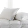 Scandia Home Copenhagen Firm Down Pillow, Queen In White