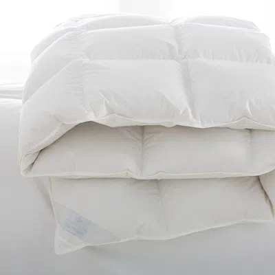 Scandia Home Copenhagen Medium Weight Down Comforter, Twin In White