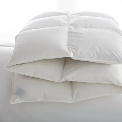 Scandia Home Lucerne Medium Weight Down Comforter, King In White