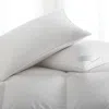 Scandia Home Salzburg Firm Down Pillow, Standard In White