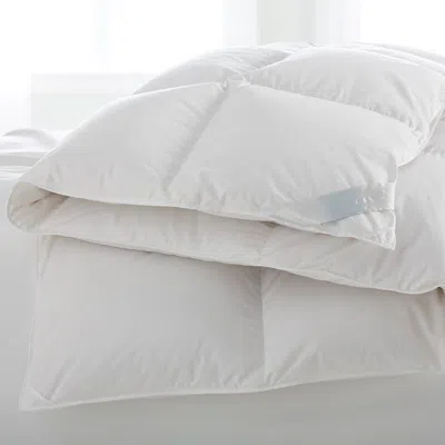Scandia Home Salzburg Medium Weight Down Comforter, Queen In White
