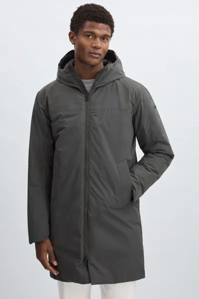 Scandinavian Edition Hooded Padded Parka In Dark Olive