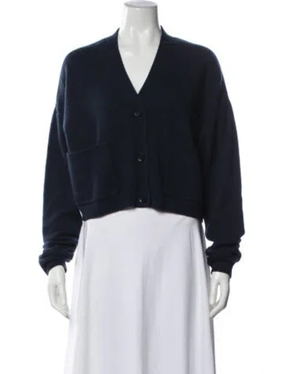 Pre-owned Scanlan Theodore Cashmere V-neck Sweater In Blue