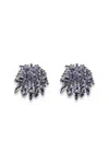 Scanlan Theodore Crystal Cascade Studs In Blue