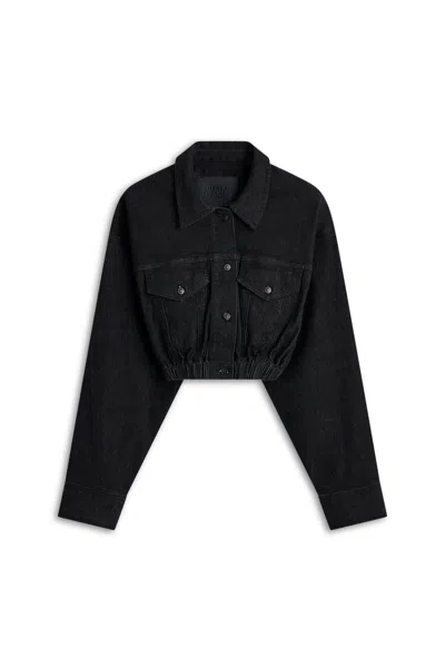 Scanlan Theodore Denim Soft Waist Crop Jacket In Multi