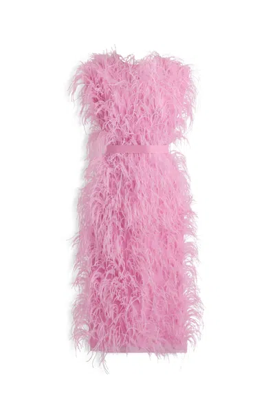 Scanlan Theodore Feather Gown In Pink