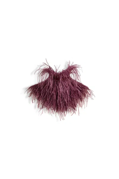 Scanlan Theodore Feather Scarf In Bordeaux