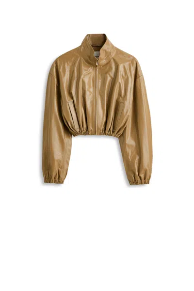 Scanlan Theodore Funnel Neck Leather Jacket In Brown